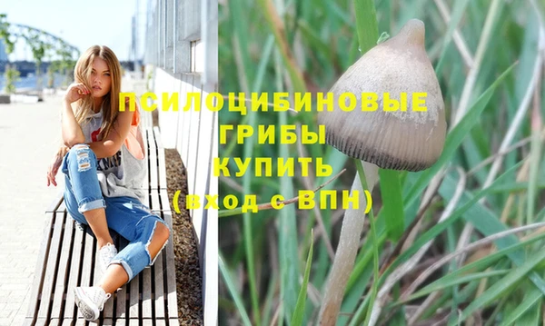 трава Баксан