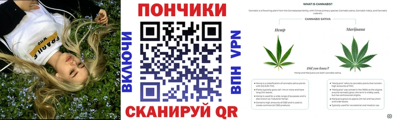 Купить где  Бердск  Канабис SATIVA & INDICA 